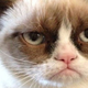 Illustration for article titled Grumpy Cat movie to explore all of the comedic angle of Grumpy Cat